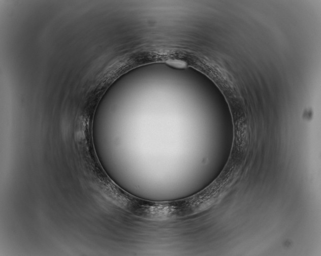 X0000101210225200806271422