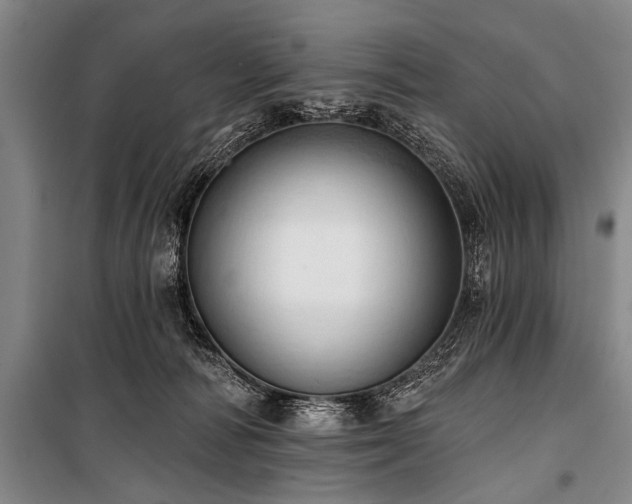 X0000101210226200806271422