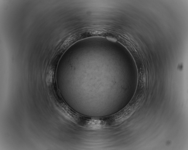 X0000101210227200806271422