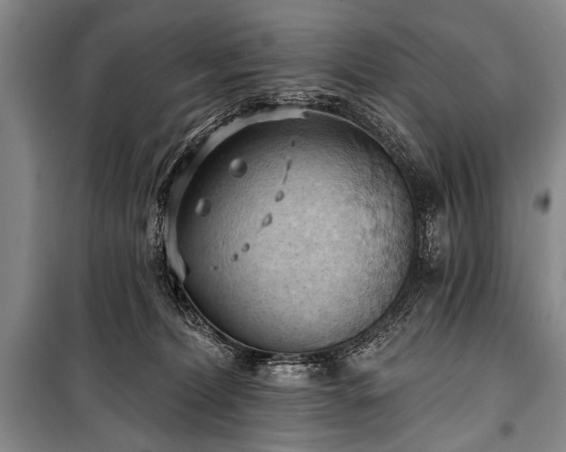 X0000101210228200806271422