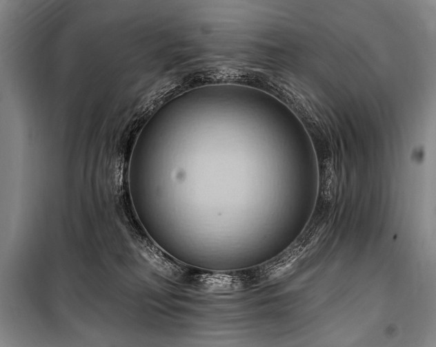 X0000101210230200806271422