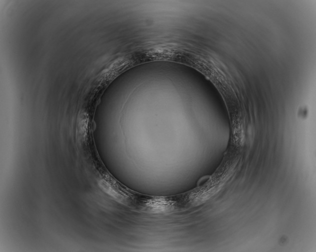 X0000101210231200806271422