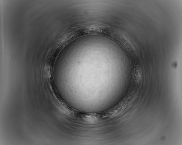 X0000101210232200806271422