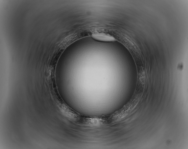 X0000101210233200806271422