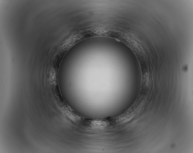 X0000101210234200806271422