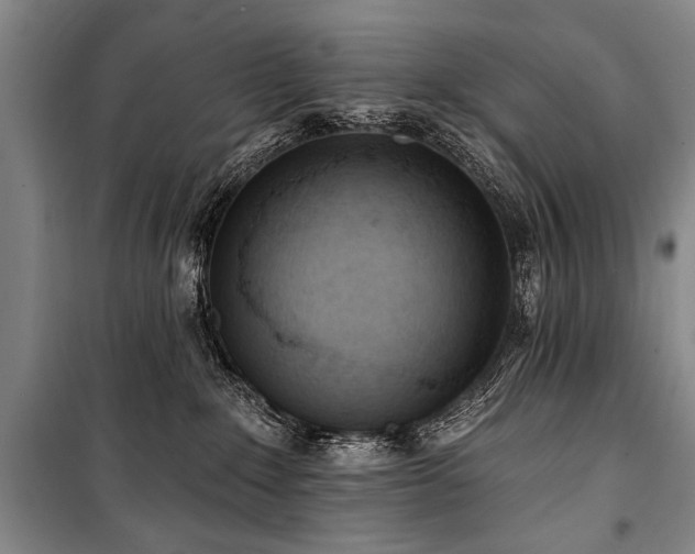 X0000101210235200806271422