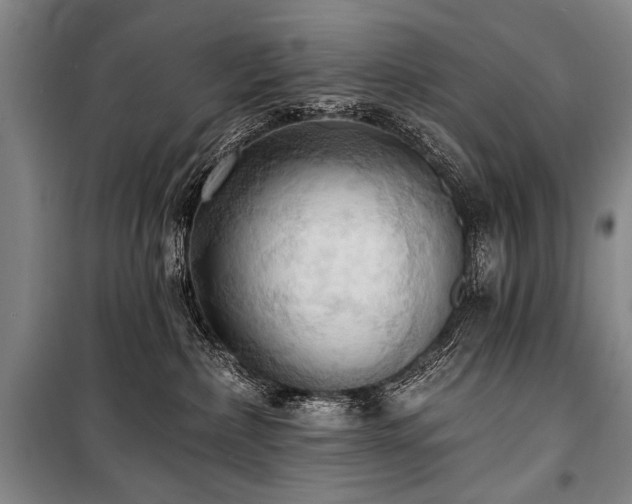 X0000101210236200806271422