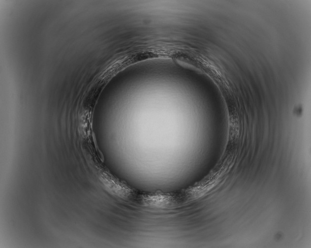 X0000101210237200806271422