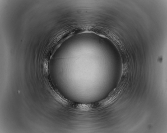 X0000101210238200806271422