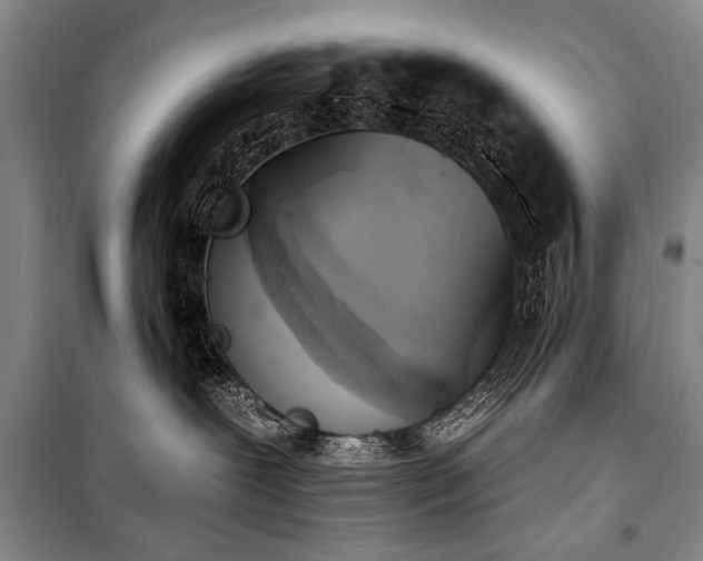 X0000101210239200806271422