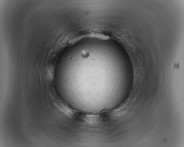 X0000101210240200806271422