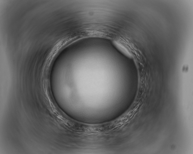 X0000101210241200806271422