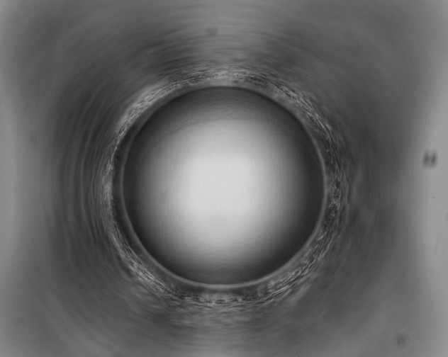 X0000101210242200806271422