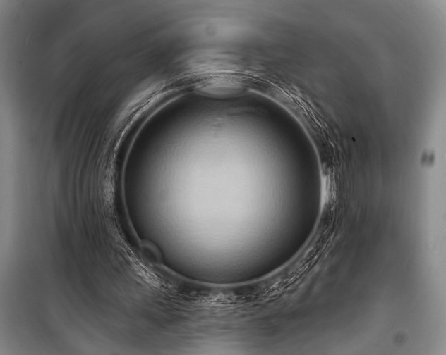 X0000101210243200806271422