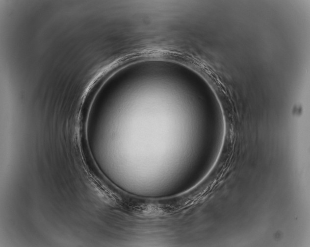 X0000101210244200806271422