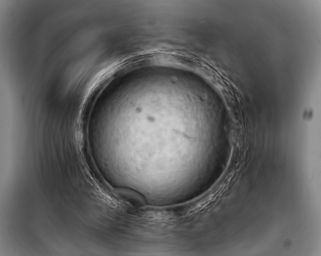 X0000101210245200806271422