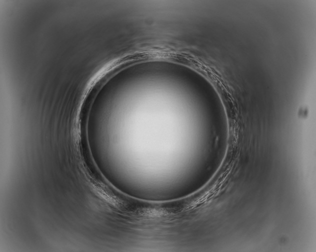 X0000101210246200806271422