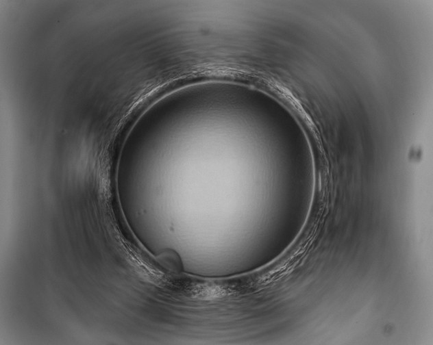 X0000101210249200806271422