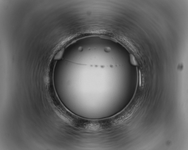 X0000101210252200806271422