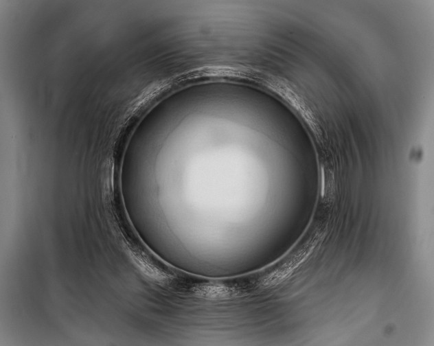 X0000101210253200806271422