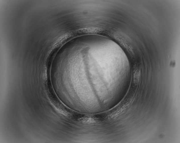 X0000101210254200806271422