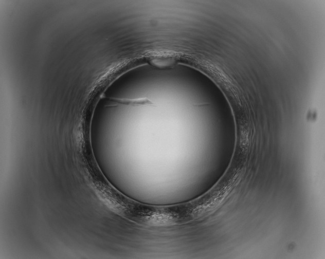 X0000101210256200806271422