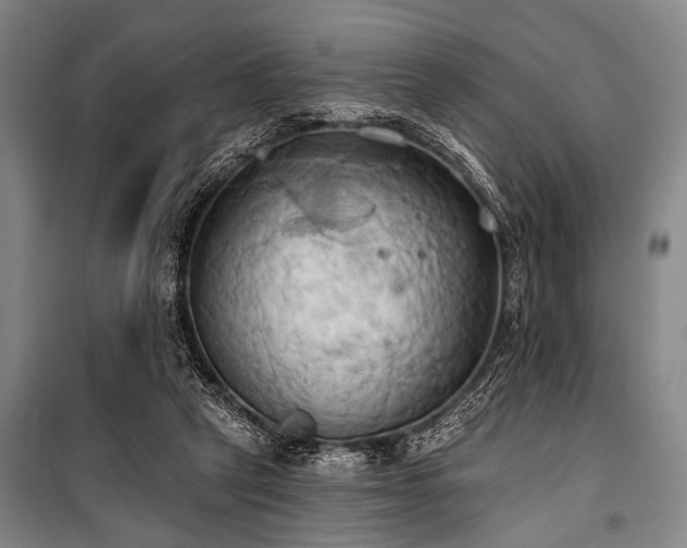 X0000101210257200806271422