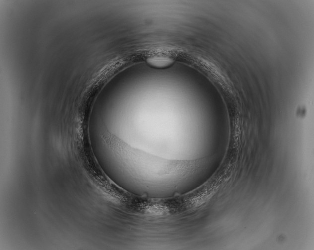 X0000101210258200806271422