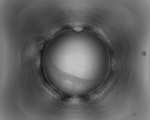 X0000101210259200806271422