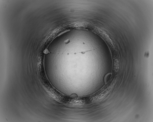 X0000101210260200806271422