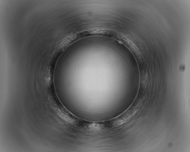 X0000101210261200806271422