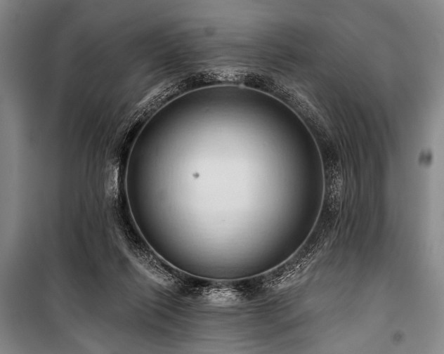 X0000101210262200806271422