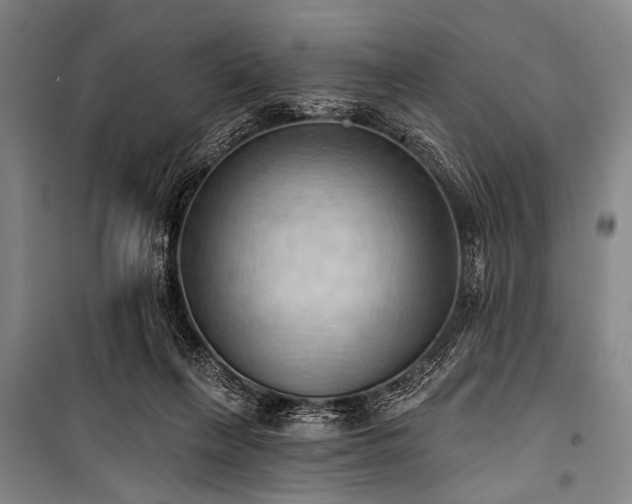 X0000101210263200806271422