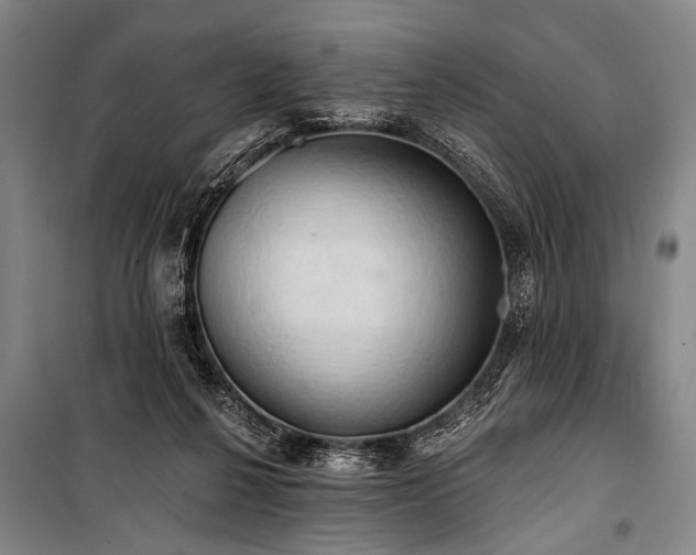 X0000101210264200806271422