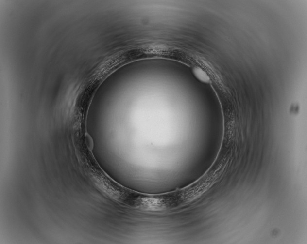 X0000101210265200806271422