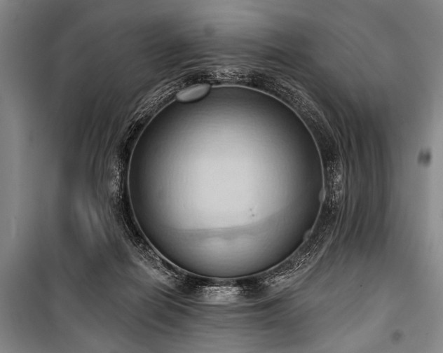 X0000101210266200806271422