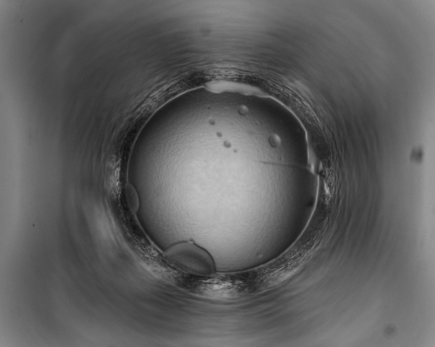 X0000101210267200806271422