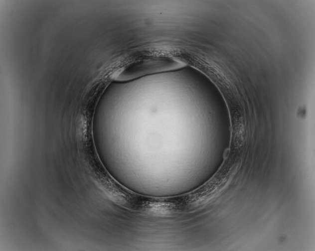 X0000101210268200806271422