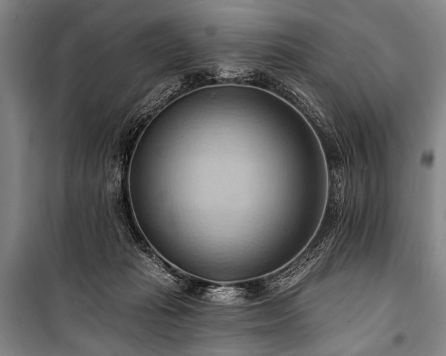 X0000101210269200806271422