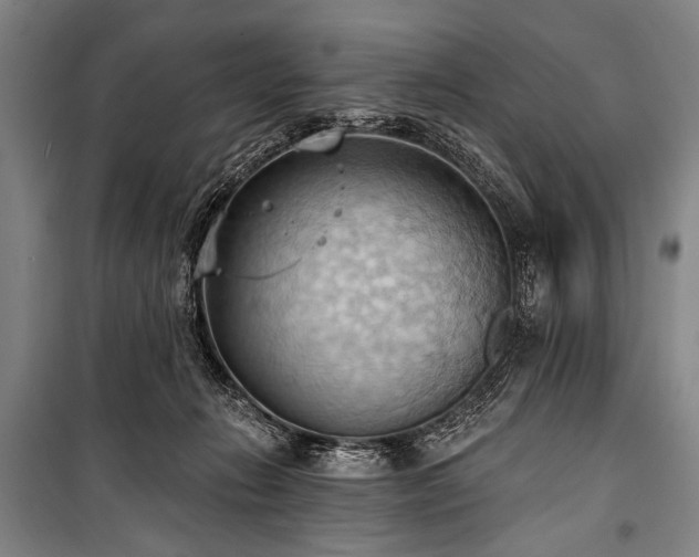 X0000101210270200806271422