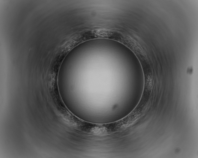 X0000101210271200806271422