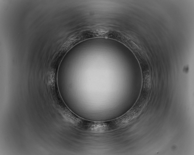 X0000101210274200806271422