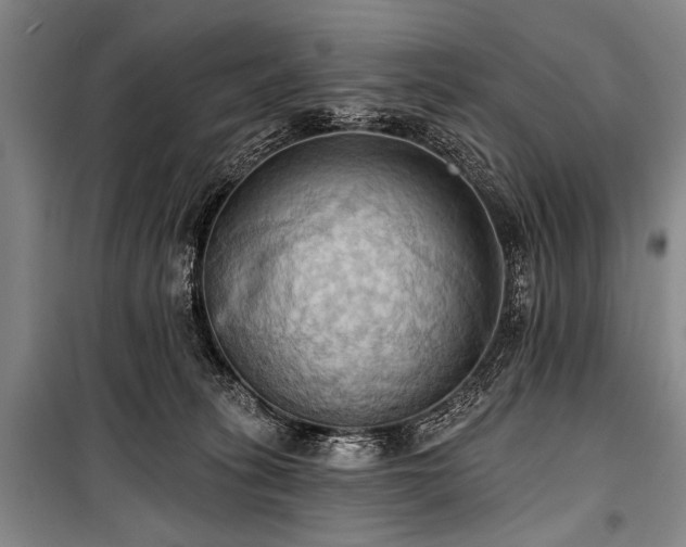 X0000101210275200806271422