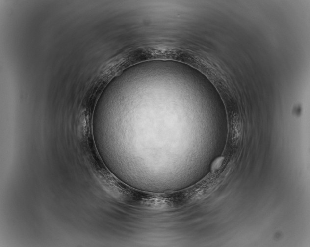 X0000101210276200806271422