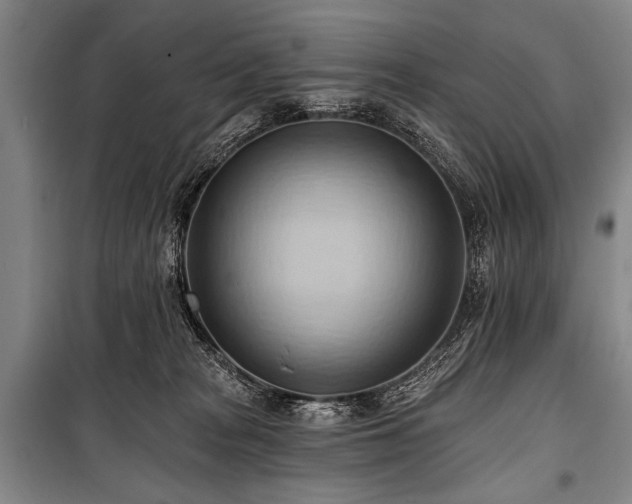 X0000101210277200806271422