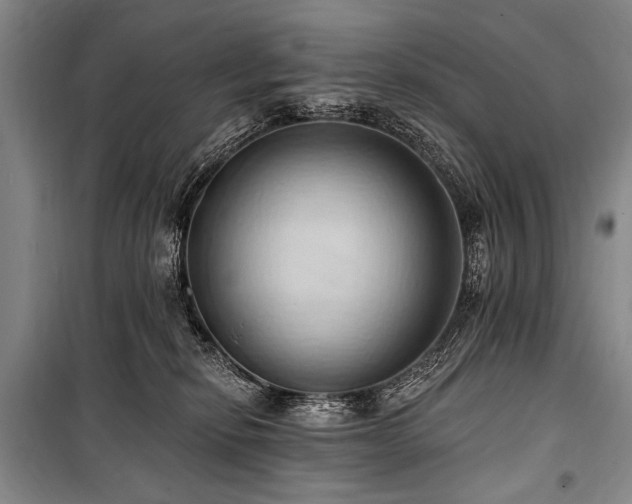 X0000101210278200806271422