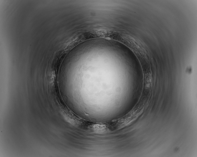 X0000101210279200806271422