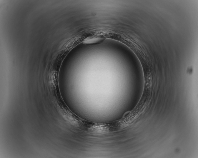 X0000101210280200806271422