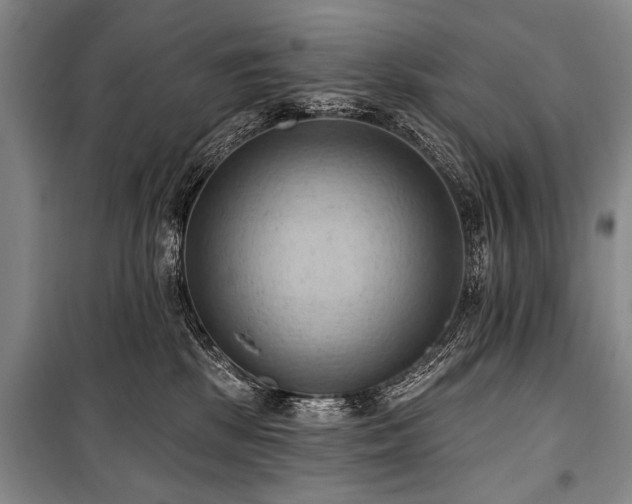 X0000101210281200806271422