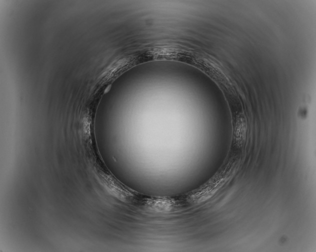 X0000101210282200806271422